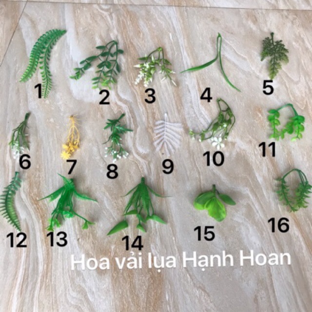 1kg cỏ điểm các loại