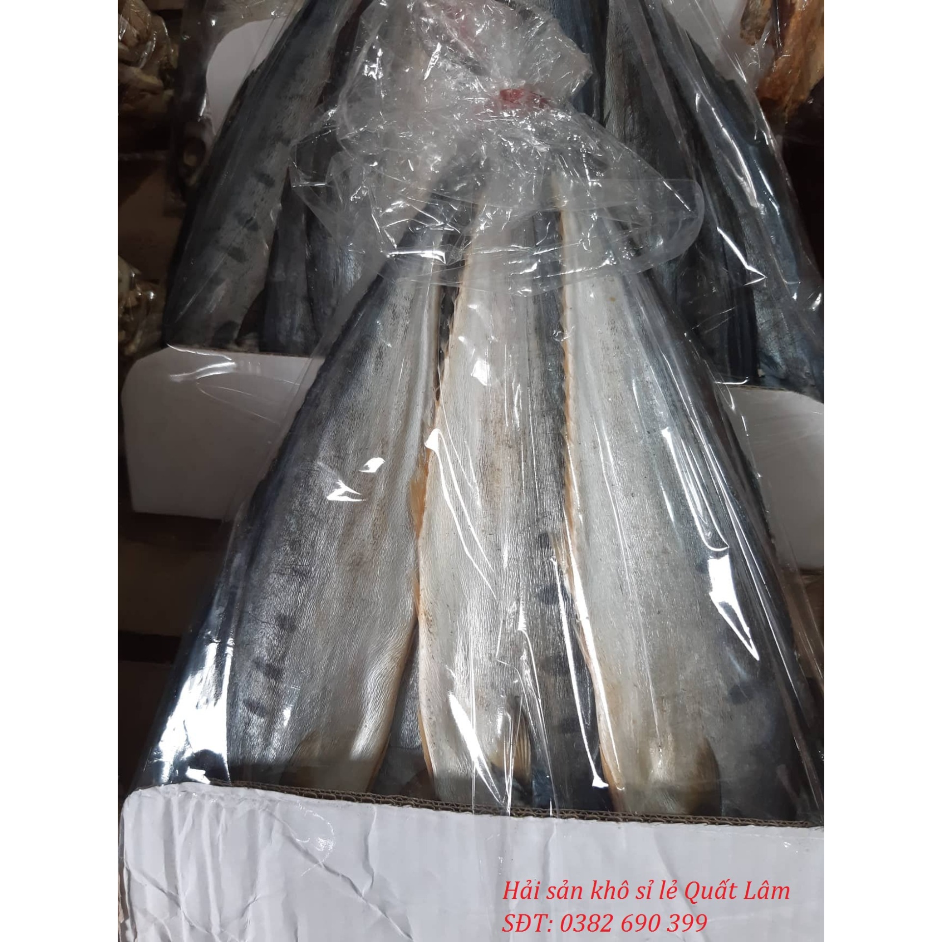 3kg CÁ BÈ BÈ ( họ cá thu) thịt thơm, ngon