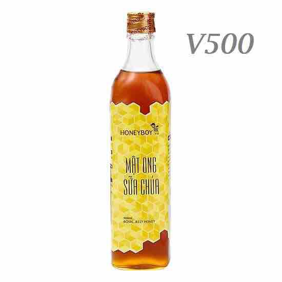 Set 10chai thuỷ tinh vuông 500ml