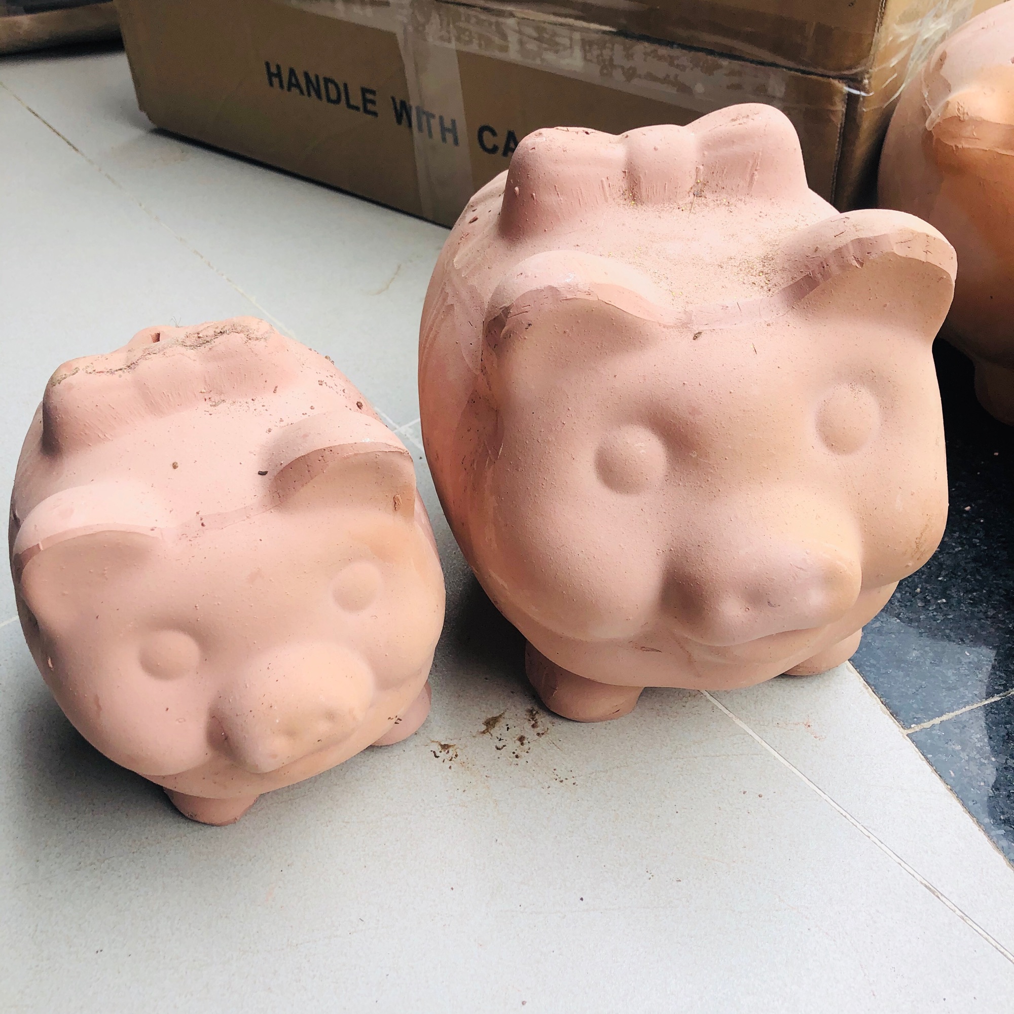 Heo đất chưa vẽ size L