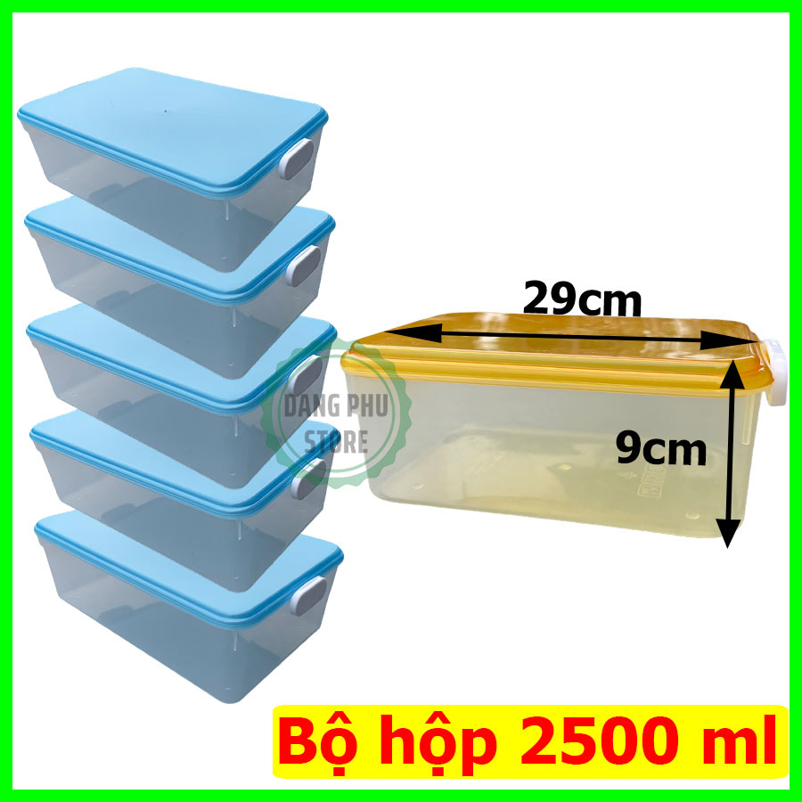 Combo 5 Hộp nhựa đựng thực phẩm chữ nhật cao cấp, dung tích 2500ml, nắp gài chắc chắn. Màu ngẫu nhiên-HCN-03