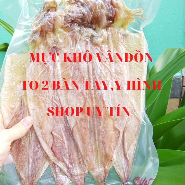 1 con to 2 bàn tay mực khô vân đồn, cam kết ngon, y hình, khô mực to ngon
