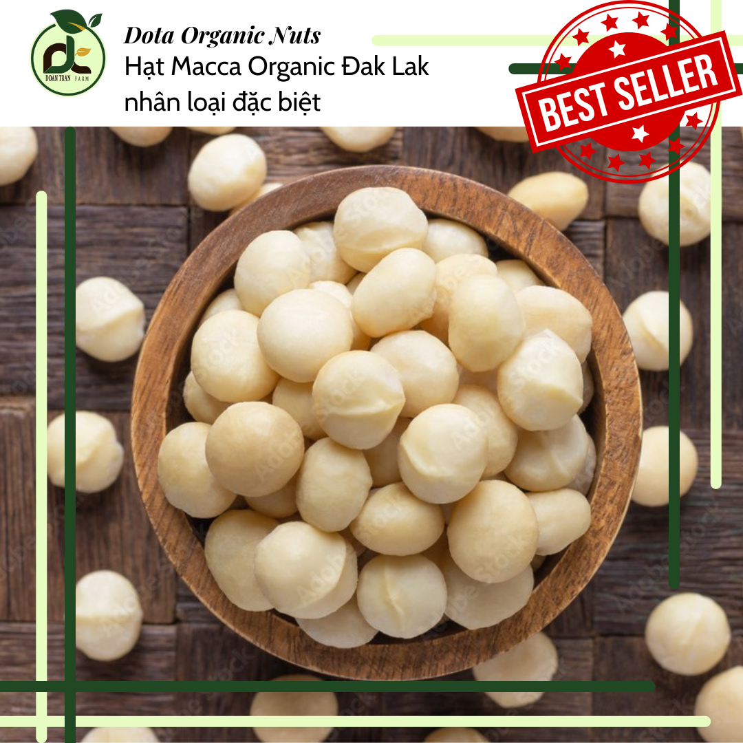 500g hạt Macca nhân Organic Đaklak loại đặc biệt