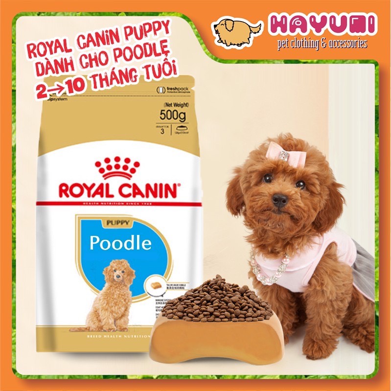 Hat khô royal canin poodle puppy - 500g