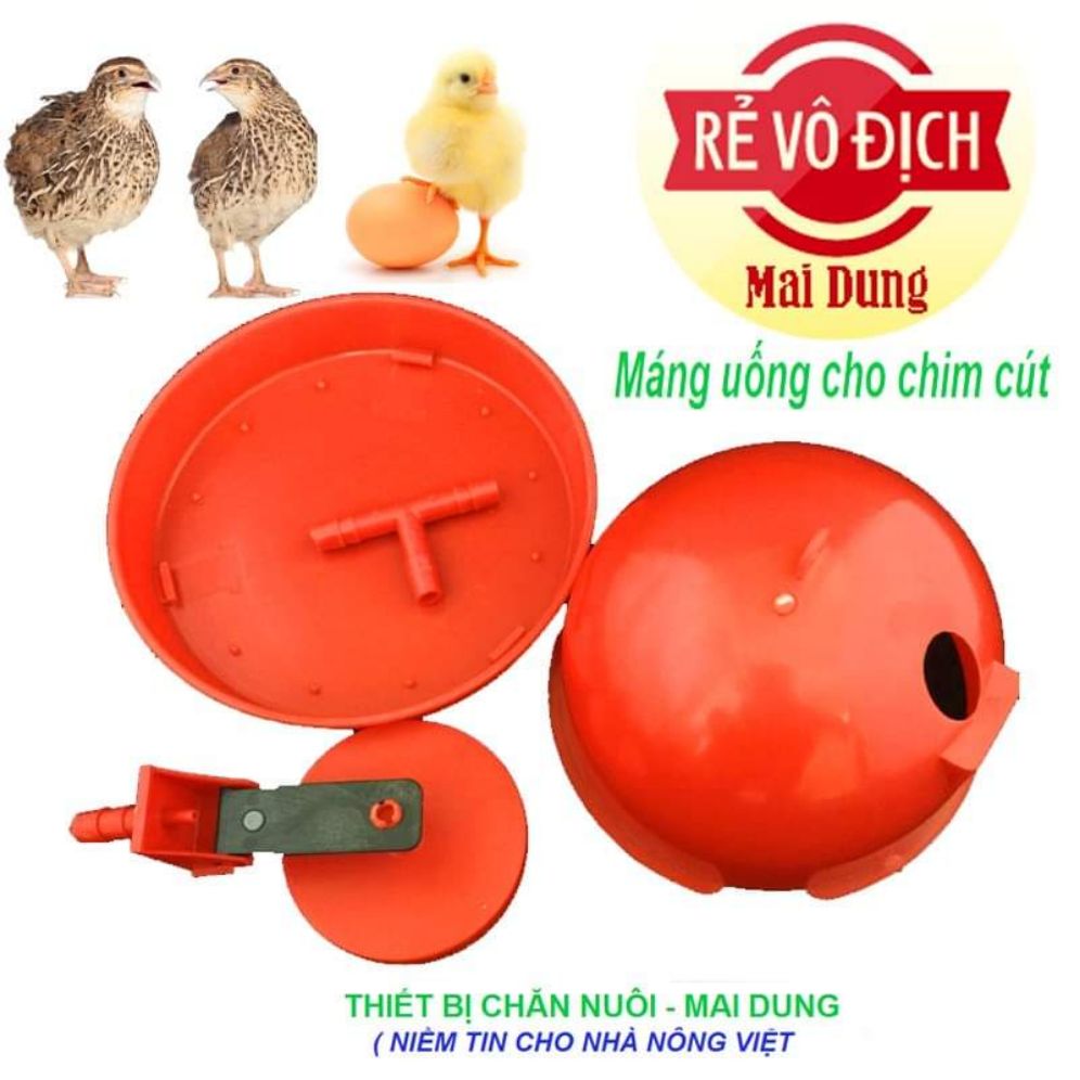 10 cái máng uống cho chim cút - gà vịt