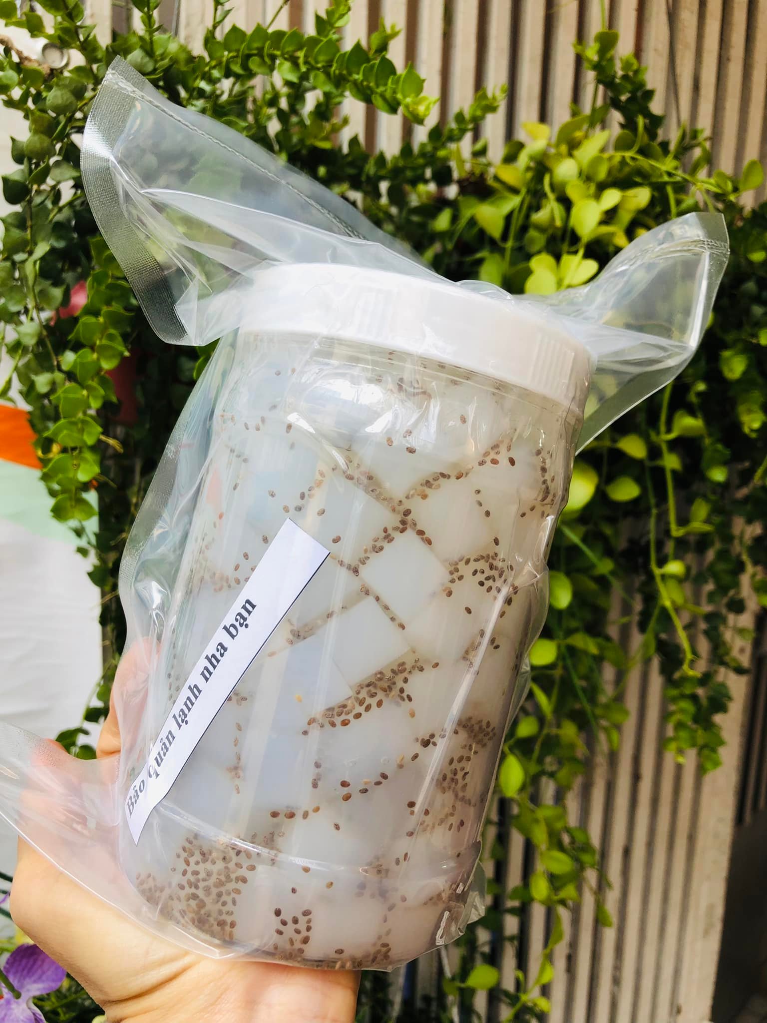 Thạch dừa hạt chia hủ 1 ký