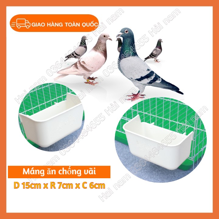 COMBO 10 MÁNG ĂN CHỐNG VÃI CHO GÀ -CHO CHIM LOẠI NGẮN-801