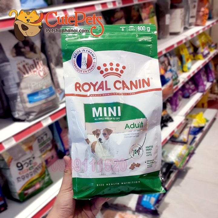 Royal Canin Mini ADULT Thức ăn cho chó lớn