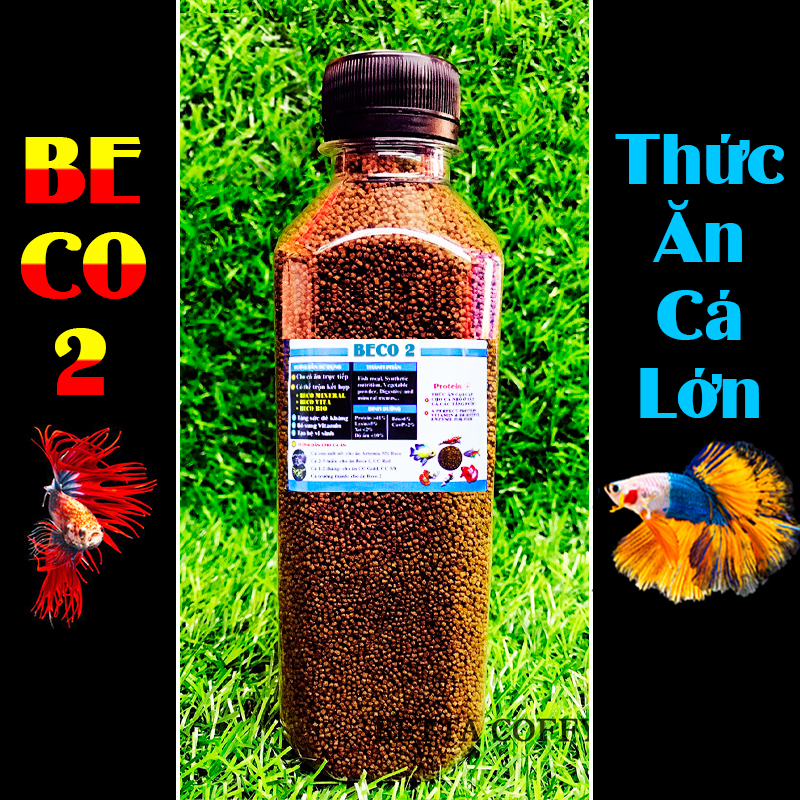 [Hoàn Tiền 15%] Cám BECO 1 2 - Thức ăn cho cá lớn 🐠 BETTA COFFY