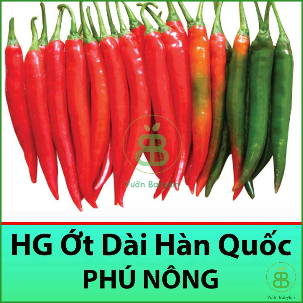 Hạt Giống Ớt Trái Dài Hàn Quốc F1 Tỉ lệ Nảy Mầm Cao