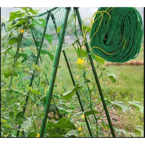 (10Mx3M)Lưới trồng cây ( dây leo giàn ) [ Có Sẵn ] [ Shop Tự chụp - Ảnh thật ]