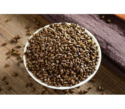 Thảo quyết minh (Hạt muồng muồng) GT092