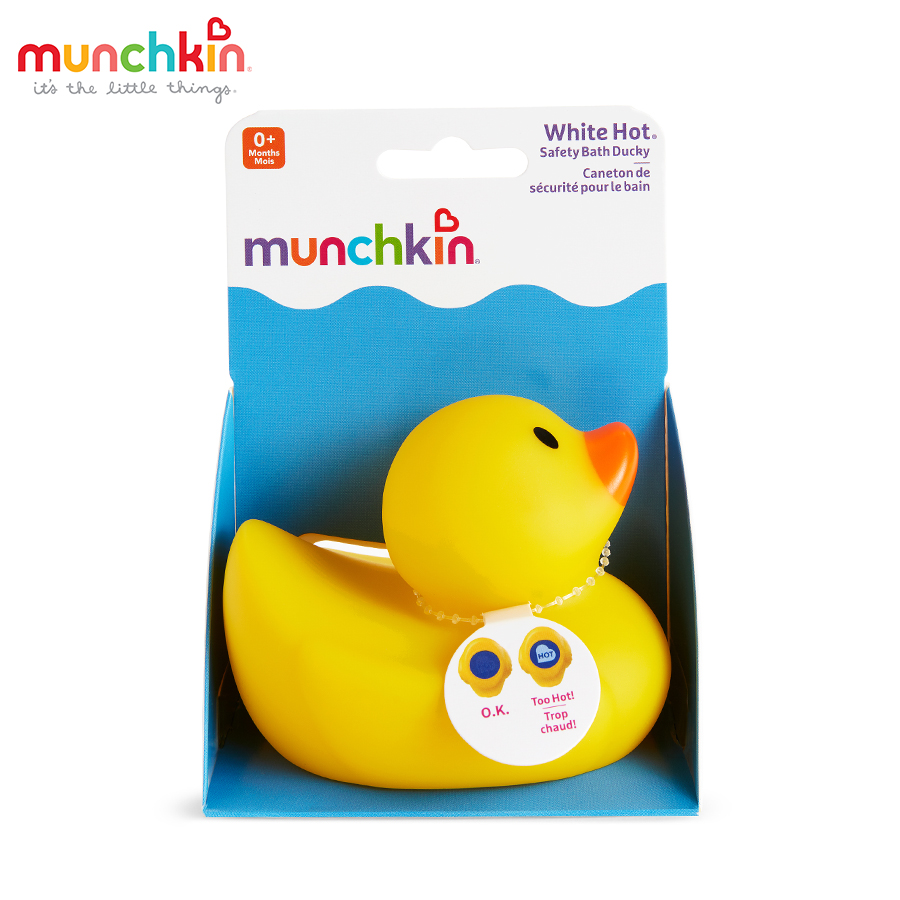 Vịt vàng báo nóng munchkin