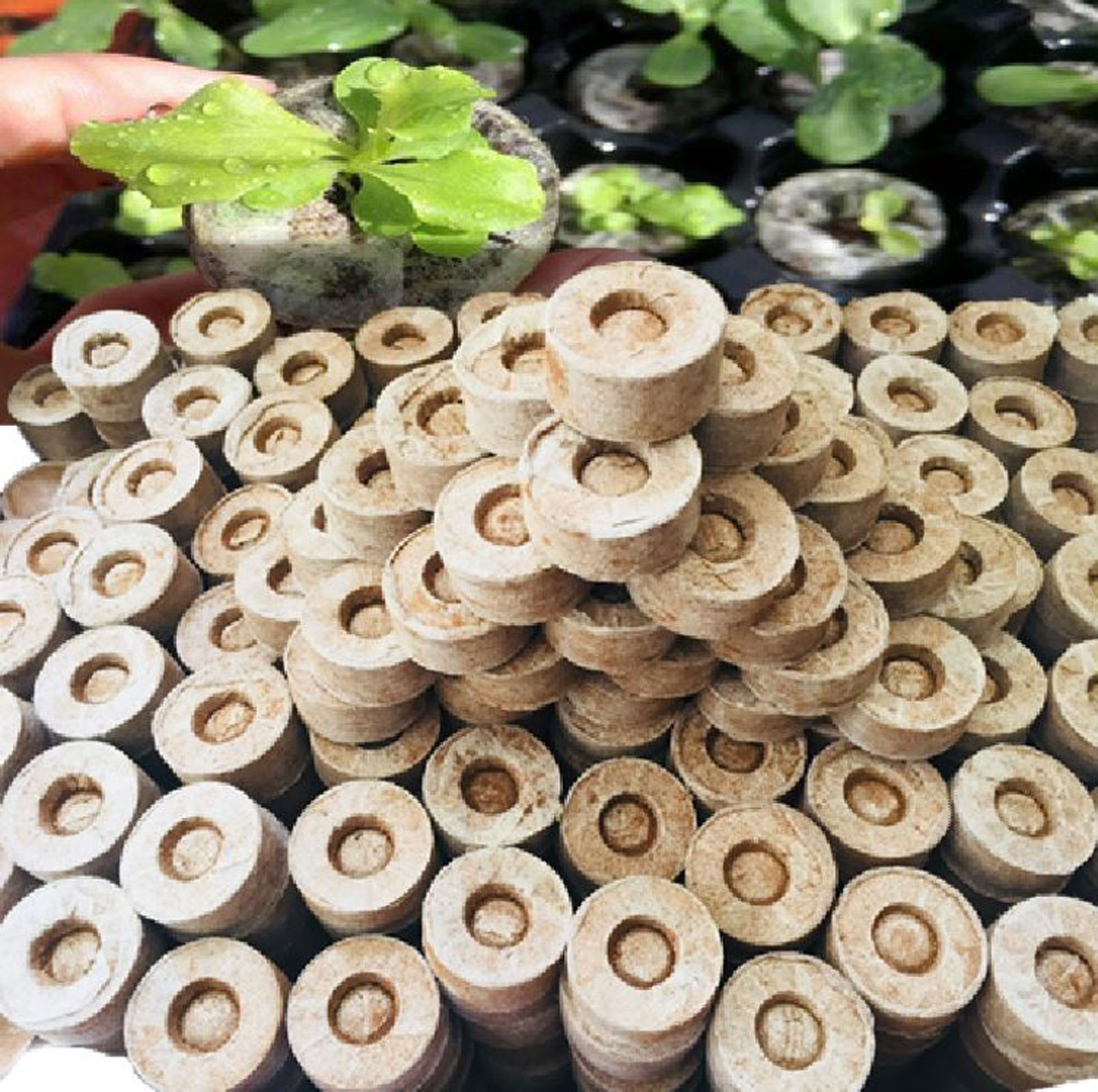 Một nghìn viên nén ươm hạt xơ dừa hữu cơ trồng rau, dâu tây, thủy canh