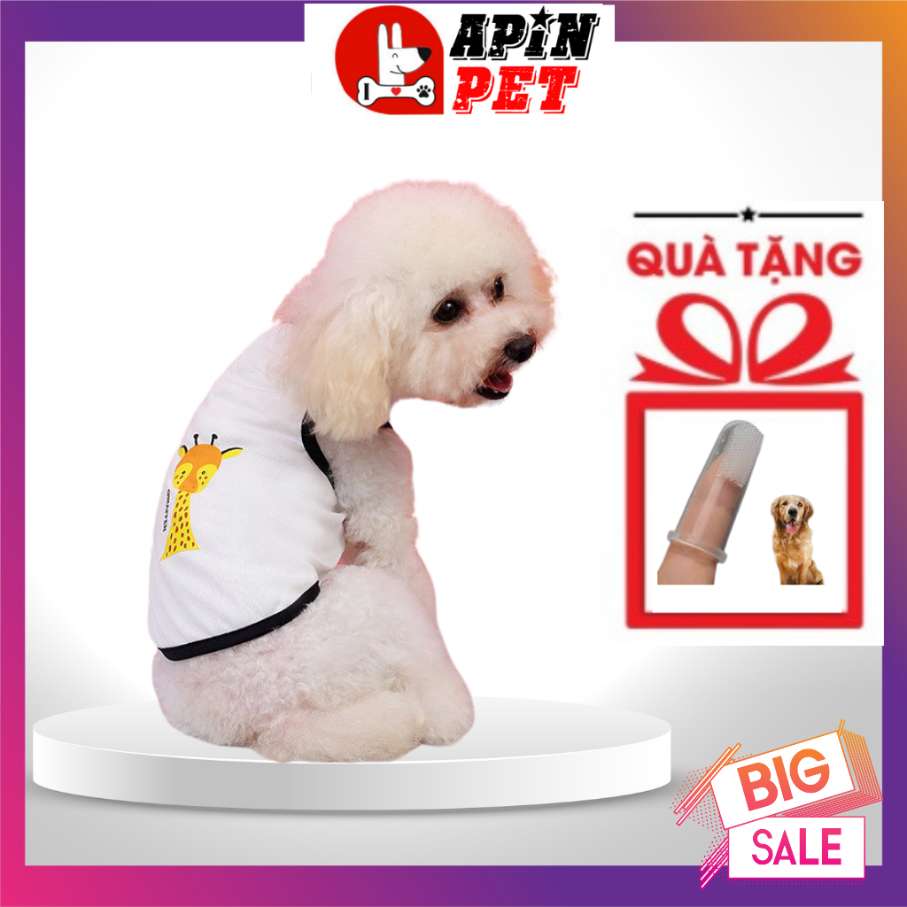 Quần Áo Cho Chó Mùa Hè,Áo Cho Cún Con In hình Ngộ Nghĩnh,Co Giãn Tốt, Size XS-XL