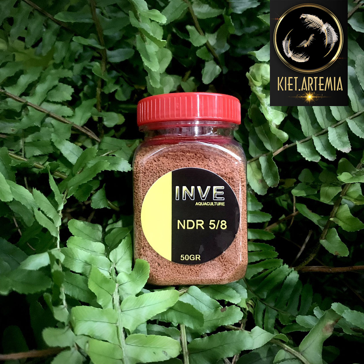 Thức ăn cho cá cảnh, Cám Thái Inve 5/8