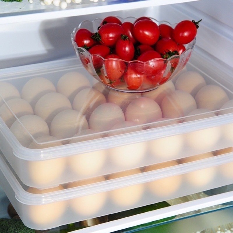 Hộp đựng trứng, khay đựng trứng 24 ô cao cấp