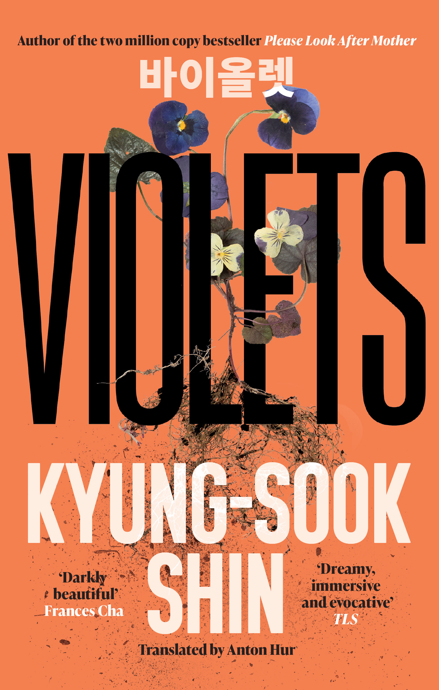 Violets by Kyung-Sook Shin
