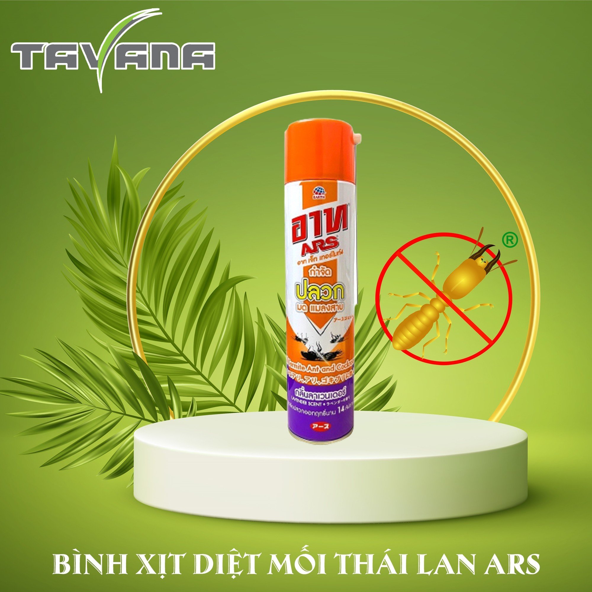 Bình xịt diệt mối thái lan ars jet termite4 600ml