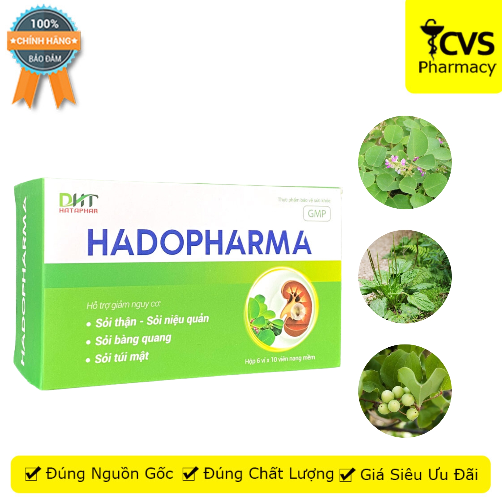 Hadopharma - Hỗ trợ giảm nguy cơ sỏi đường tiết niệu - Hộp 60 viên - CVS Pharmacy