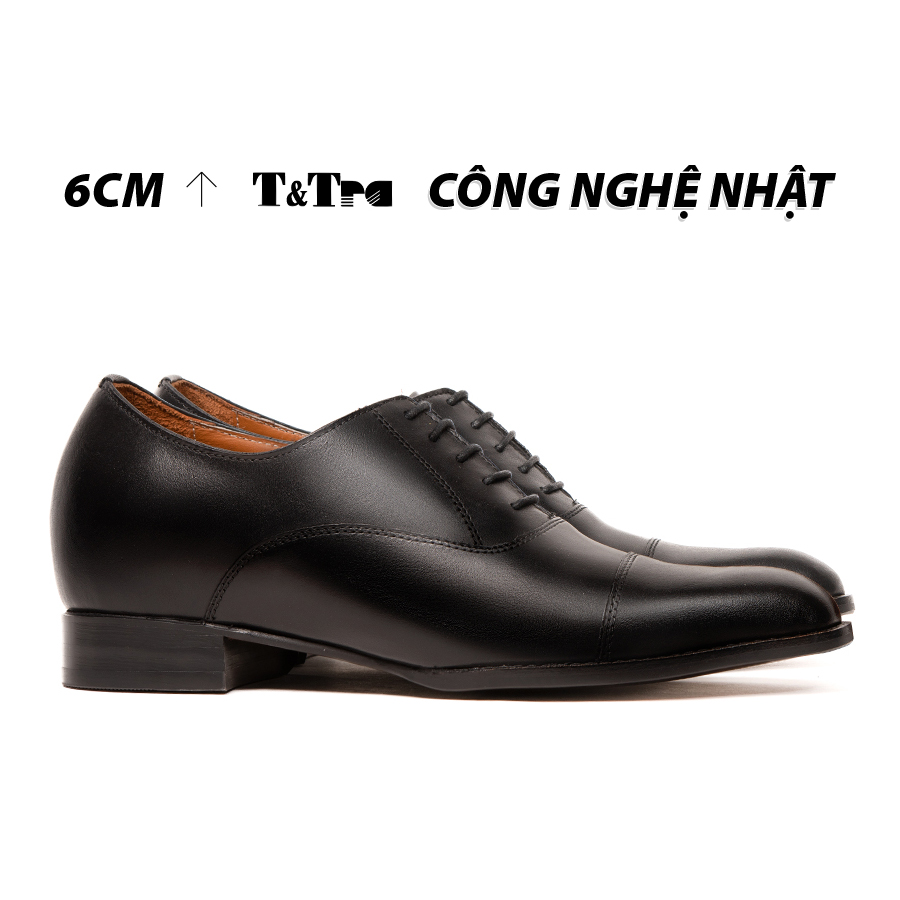 6 shoes height increasing Men T & check N311 Brown gold