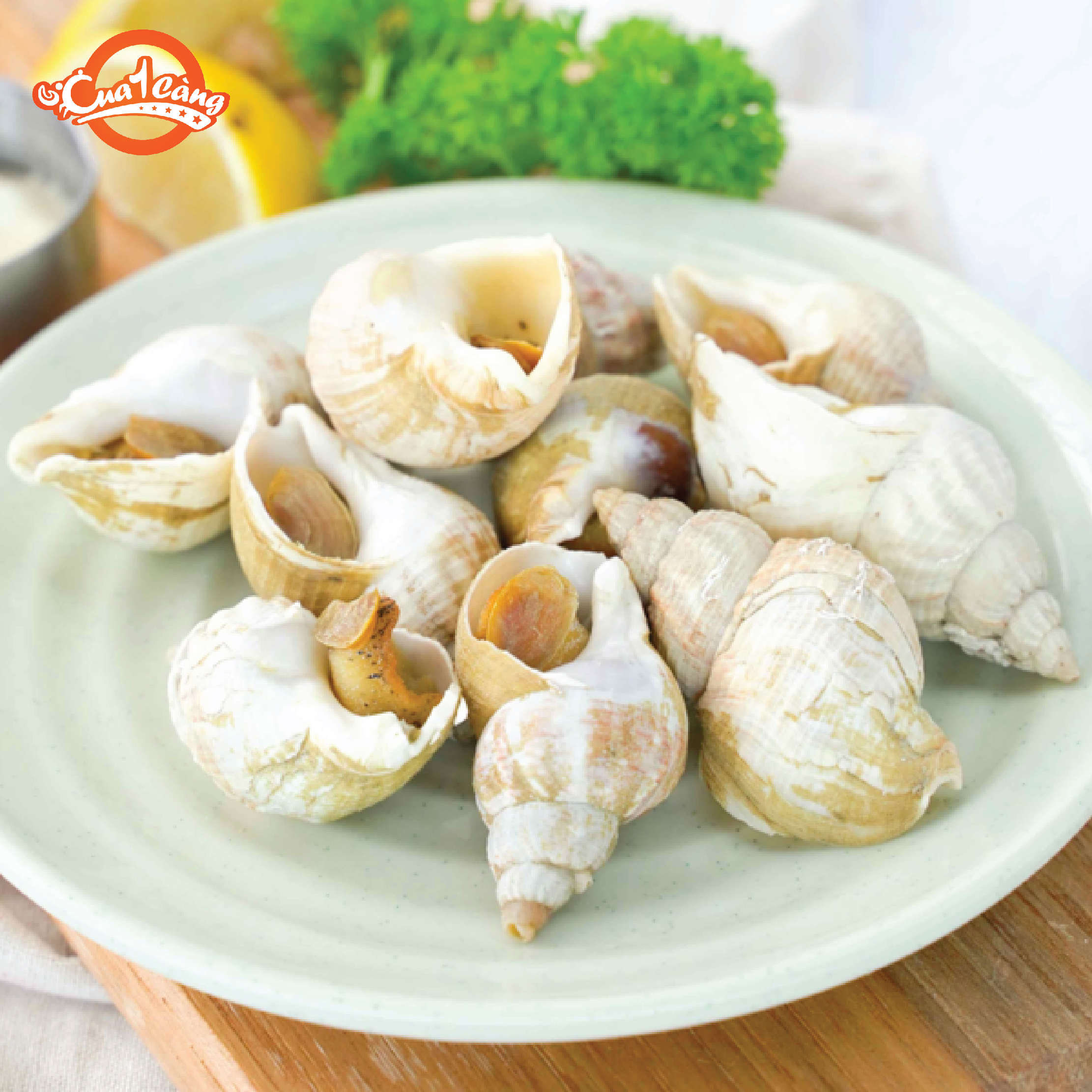 Ốc bulot pháp 30-40 con/kg - giao nhanh 4h