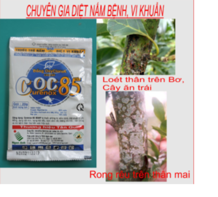 Coc 85wp – thuốc diệt trừ nấm bệnh cho cây trồng