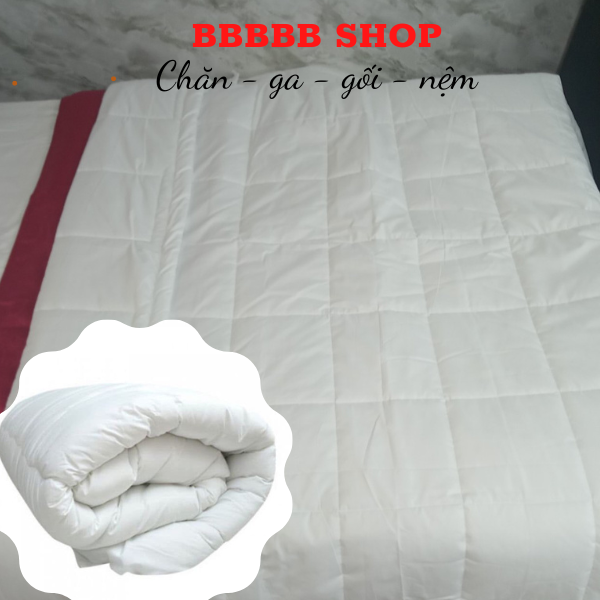 [HCM]Ruột chăn cotton 4 mùa mỏng nhẹ RIOTEX dùng cho khách sạn-resort