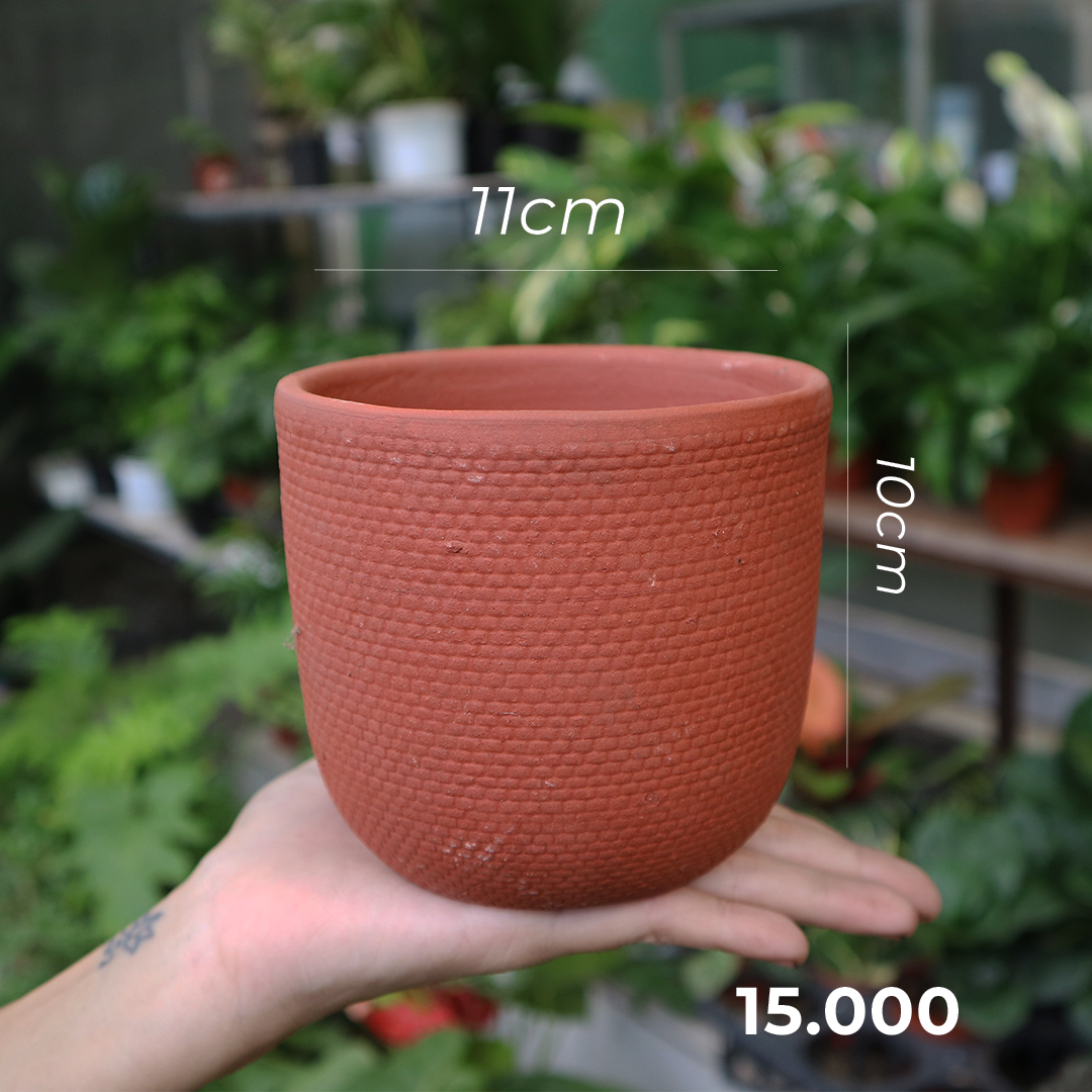 Chậu đất nung thanh lý cực rẻ nhiều size