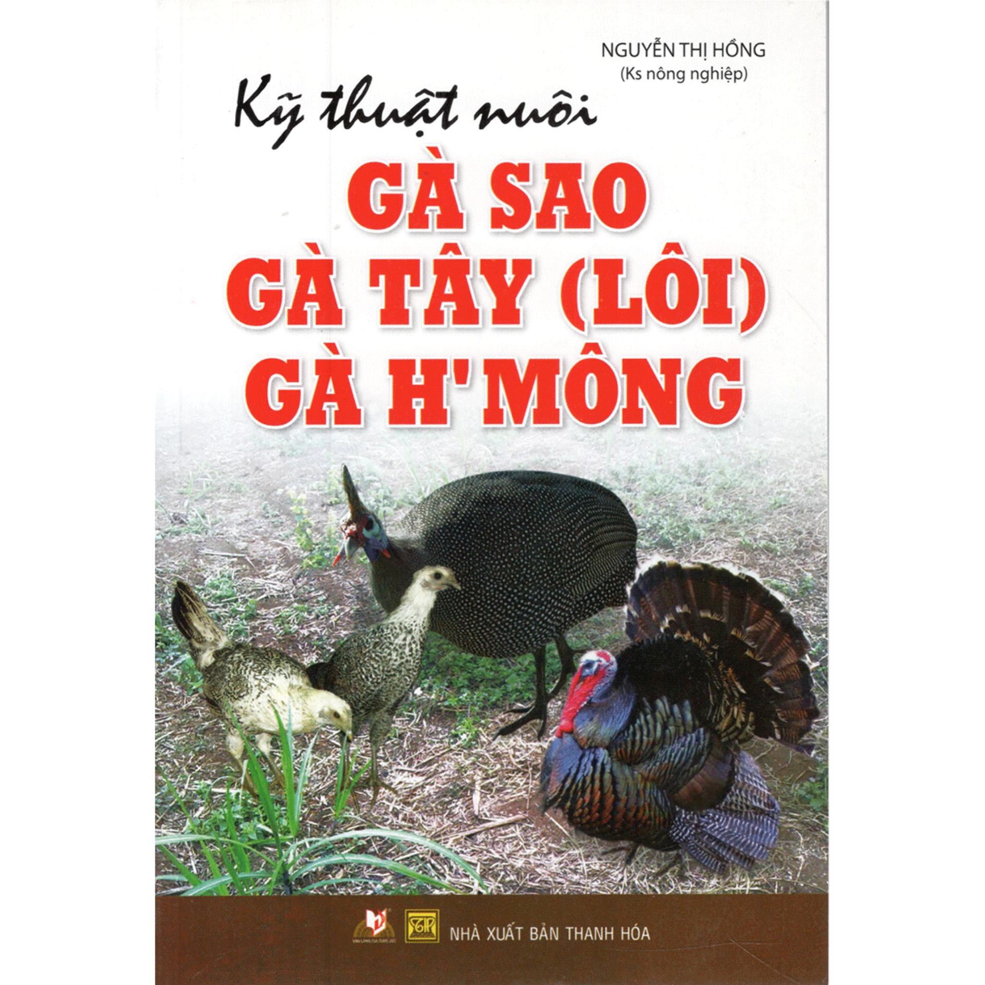 Kỹ thuật nuôi gà sao, gà tây , gà h'mông