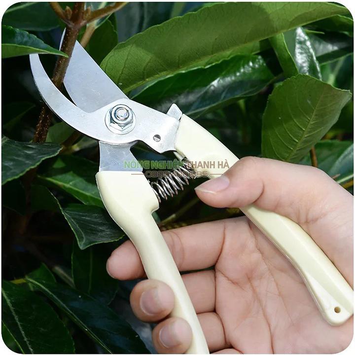 Kéo tỉa cây cảnh chuyên dụng lưỡi thép không gỉ - K10