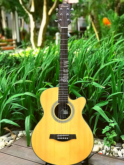 Guitar acoustic diana d815nm - gỗ bách tùng nguyên tấm -sol.g