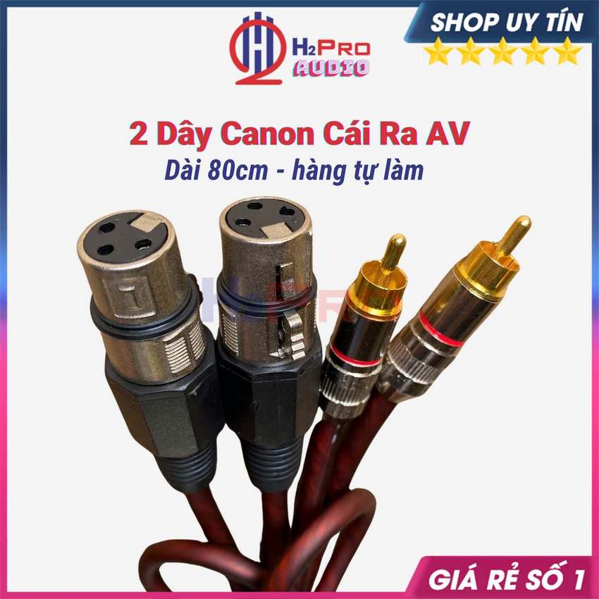  2 Dây Canon Cái Ra Av Hoa Sen Cao Cấp Dài 80Cm Tự Làm Chống Sôi-Nhiễu Kết Nối Vang Xuống Amply - H2Pro Audio 