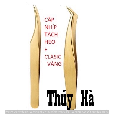 Cặp nhíp nối mi clasic + tách heo vàng - dụng cụ nối mi thúy hà