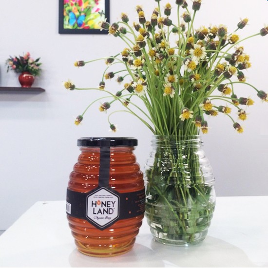 [HCM]MẬT ONG HOA XUYẾN CHI HONEYLAND 500G