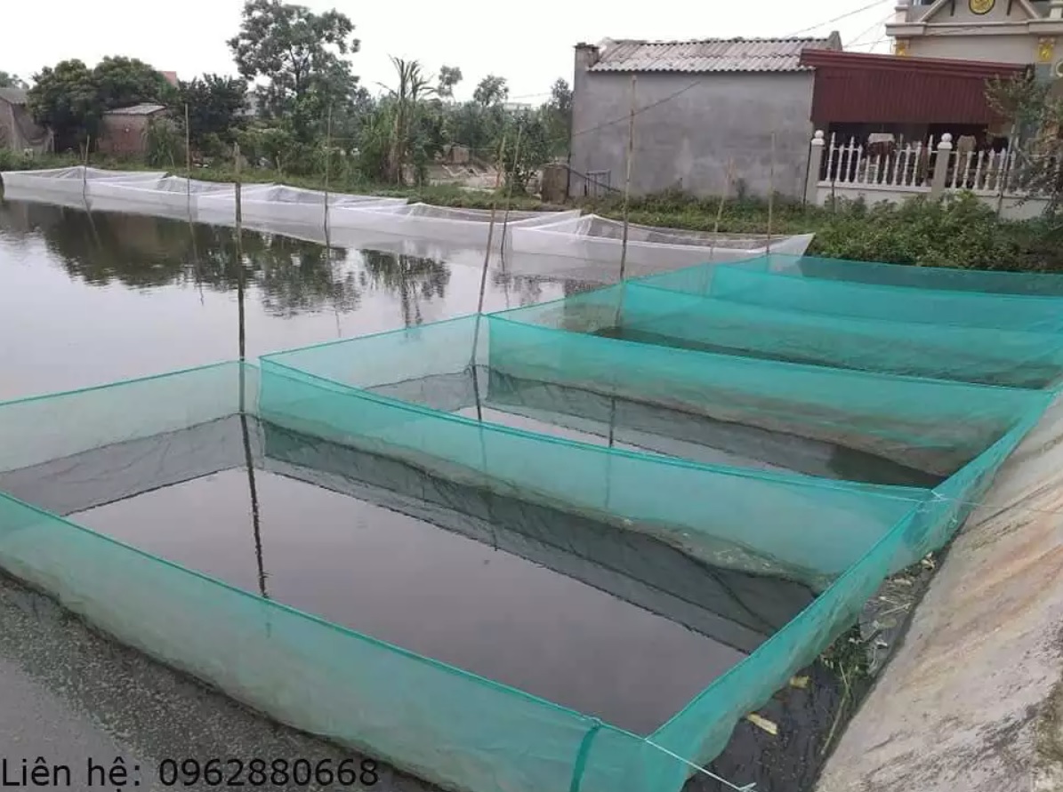 Vèo lưới, tráng lưới nuôi cá 4x2x1