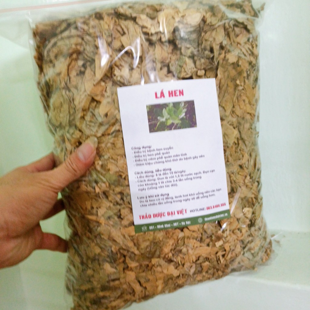 Cây lá hen (Cây bồng bồng) thảo dược cho người hen suyễn (1kg) - DL415 Giá 129,000 Đồng*Miễn phí vận chuyển