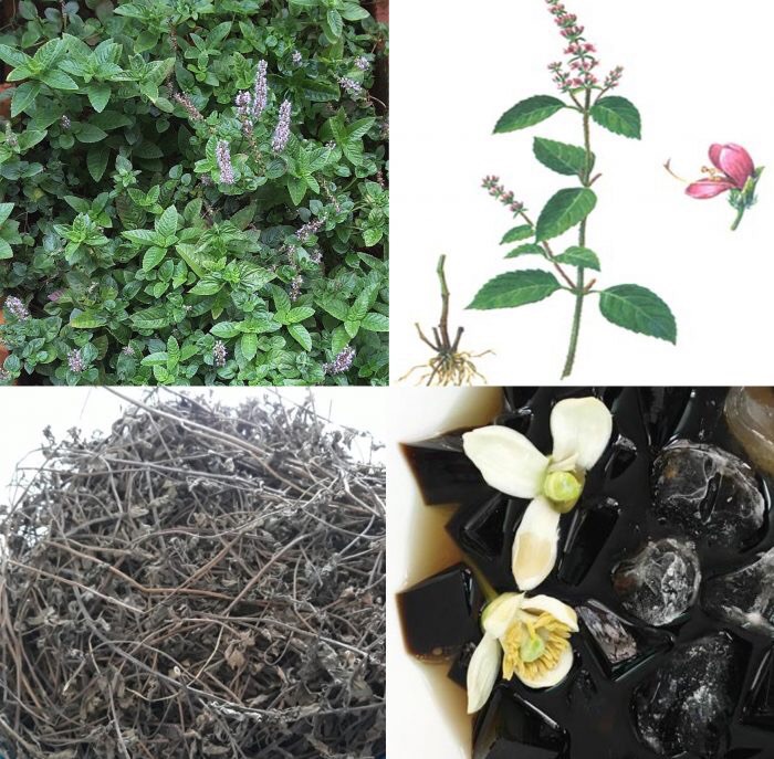 Cây sương sáo khô (500g)