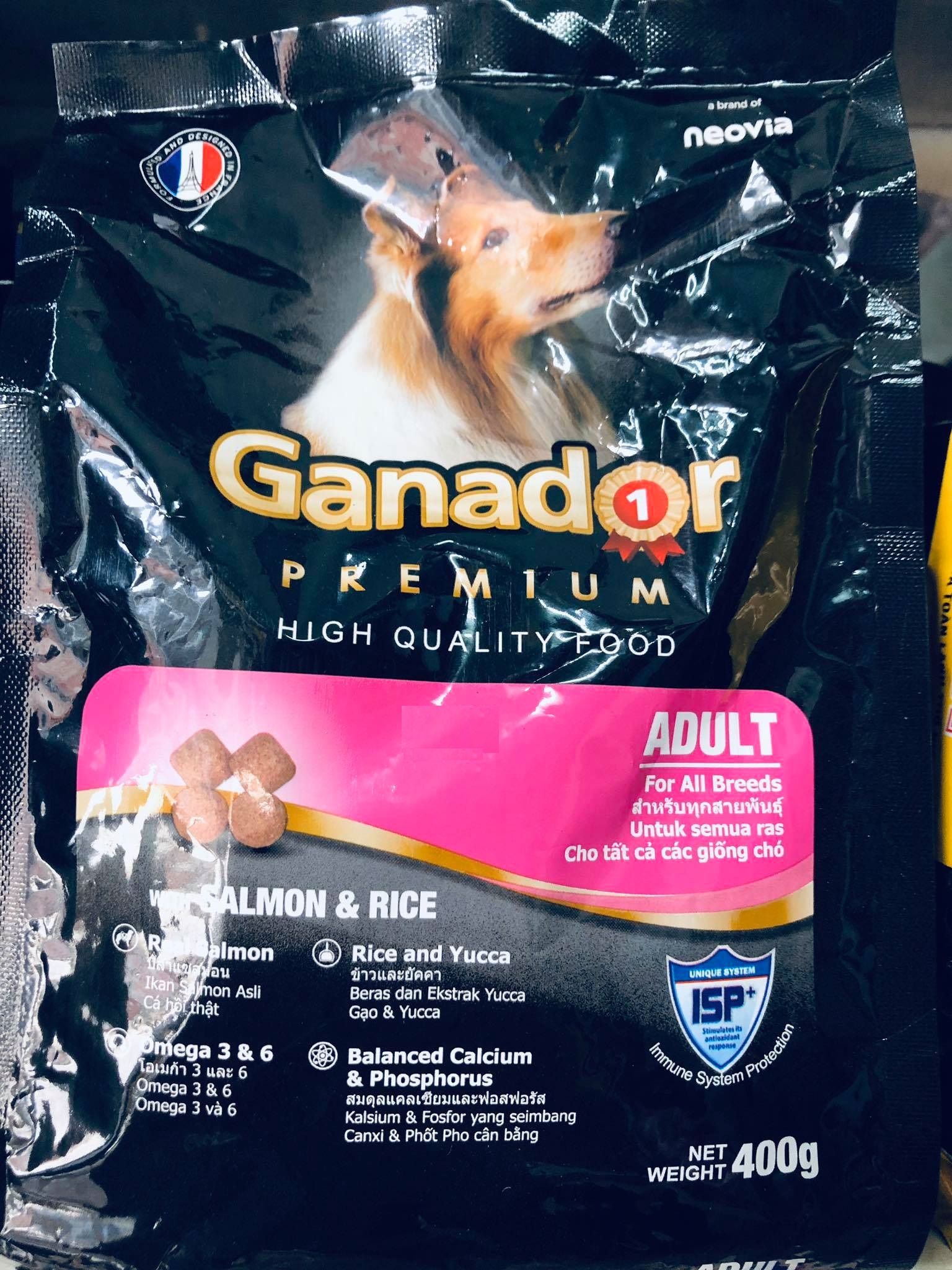 Thức ăn hạt cho chó lớn vị cá hồi và gạo lức Ganador Premium Adult Salmon bao 400g