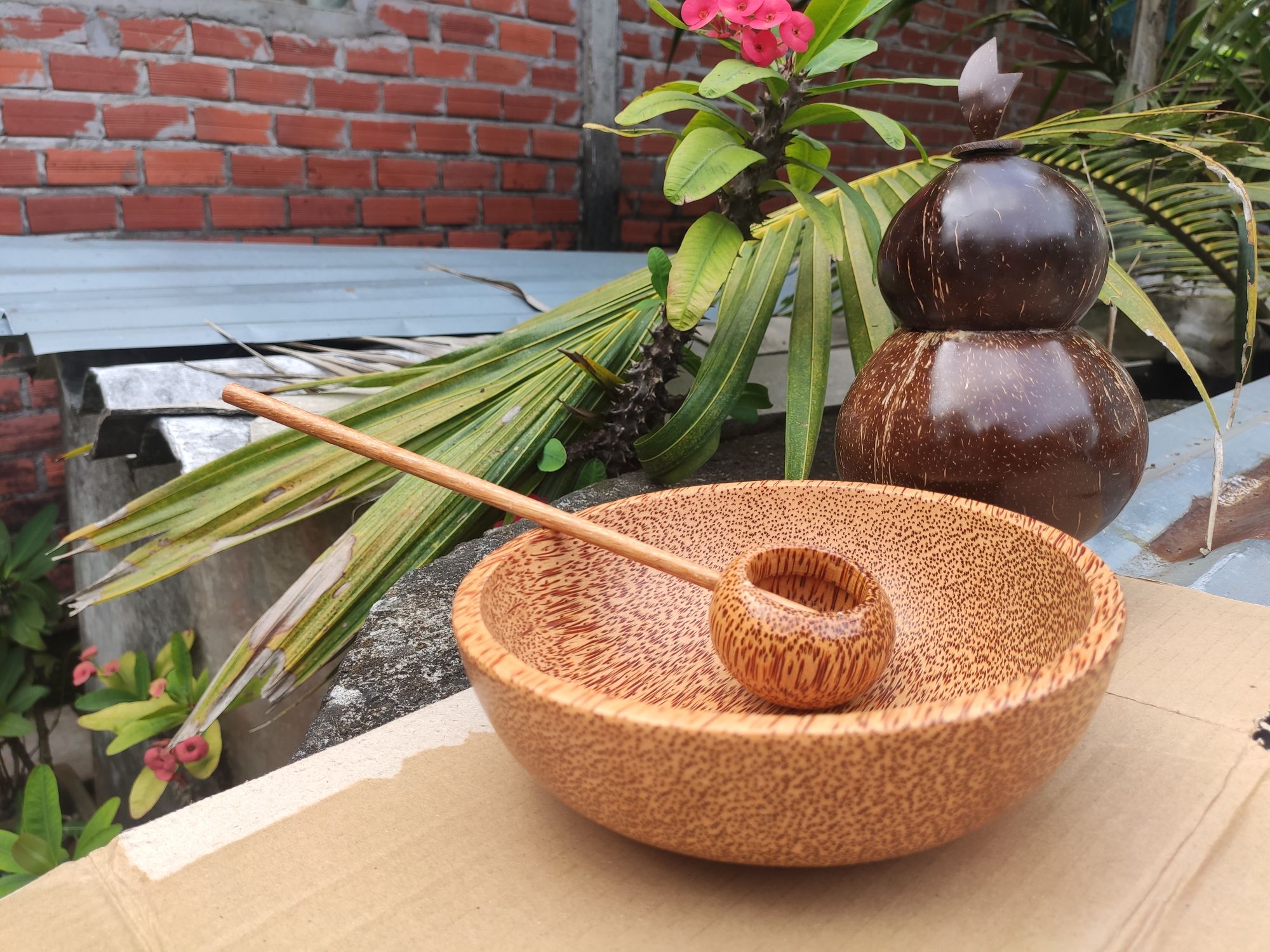 Tô Gỗ Dừa Nguyên Khối Dùng Để Ăn Salad