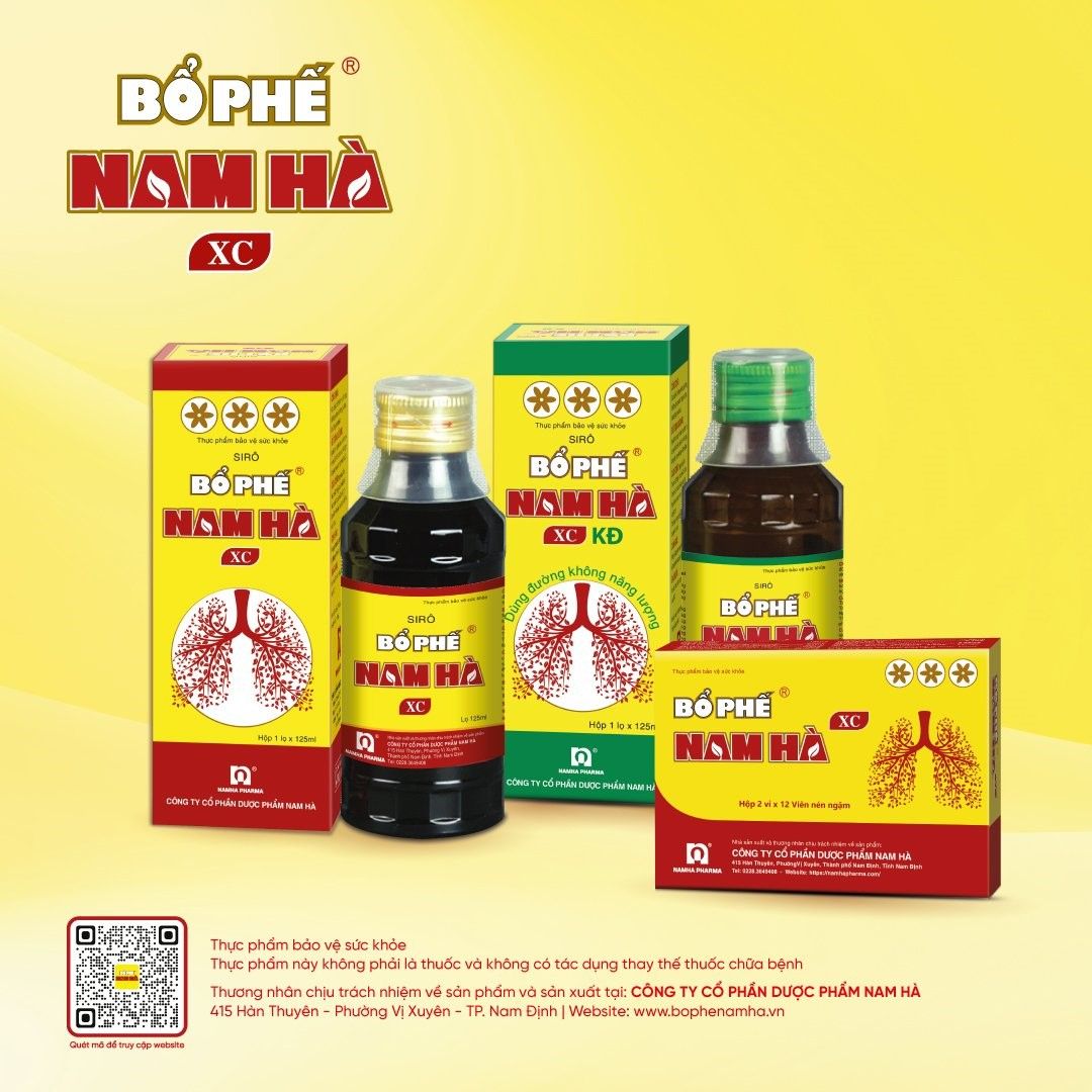 Bổ Phế Nam Hà XC giúp bổ phế, giảm ho, giảm đờm, giảm đau rát họng, khản tiếng do viêm họng, viêm phế quản