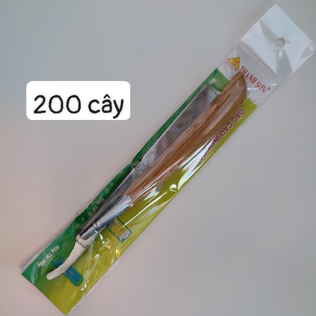 Combo 200 cây cạo mặt cán gỗ .