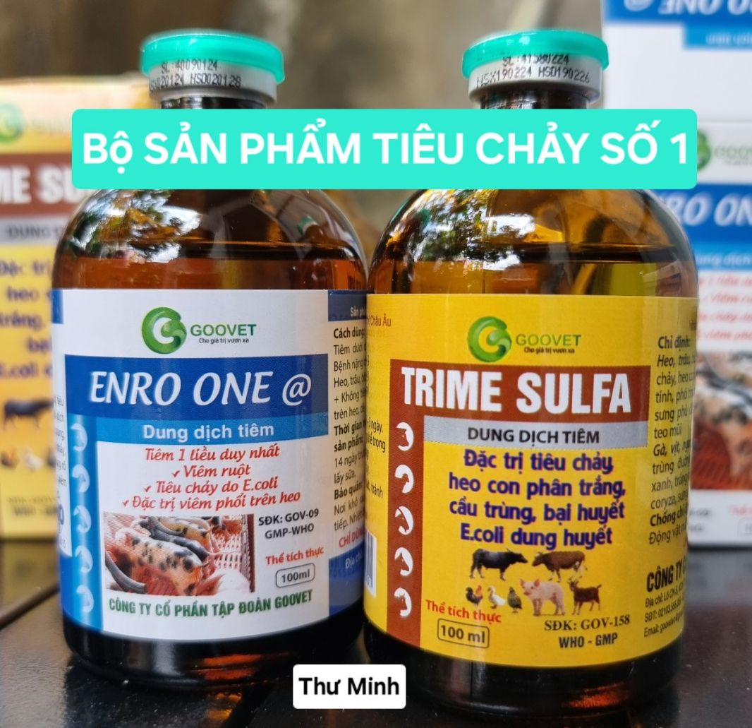 COMBO số 1 ENRO ONE @ & TRIME SULFA giải quyết tất cả các vấn đề tiêu chảy trên gia súc