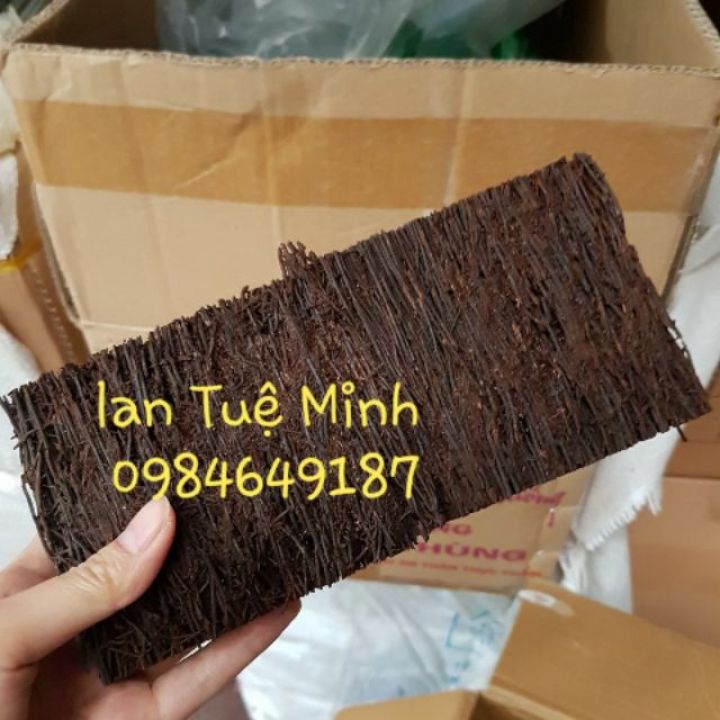 Bảng dớn trồng lan size 10x20x3 cm