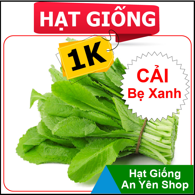 Hạt Giống 1K Cải Bẹ Xanh Mỡ, nhanh thu hoạch, dễ trồng, nảy mầm và năng suất cao