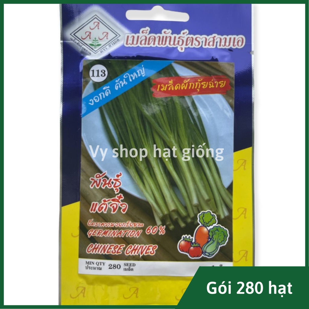 Hạt giống hẹ ăn lá Thái Lan gói 230 hạt