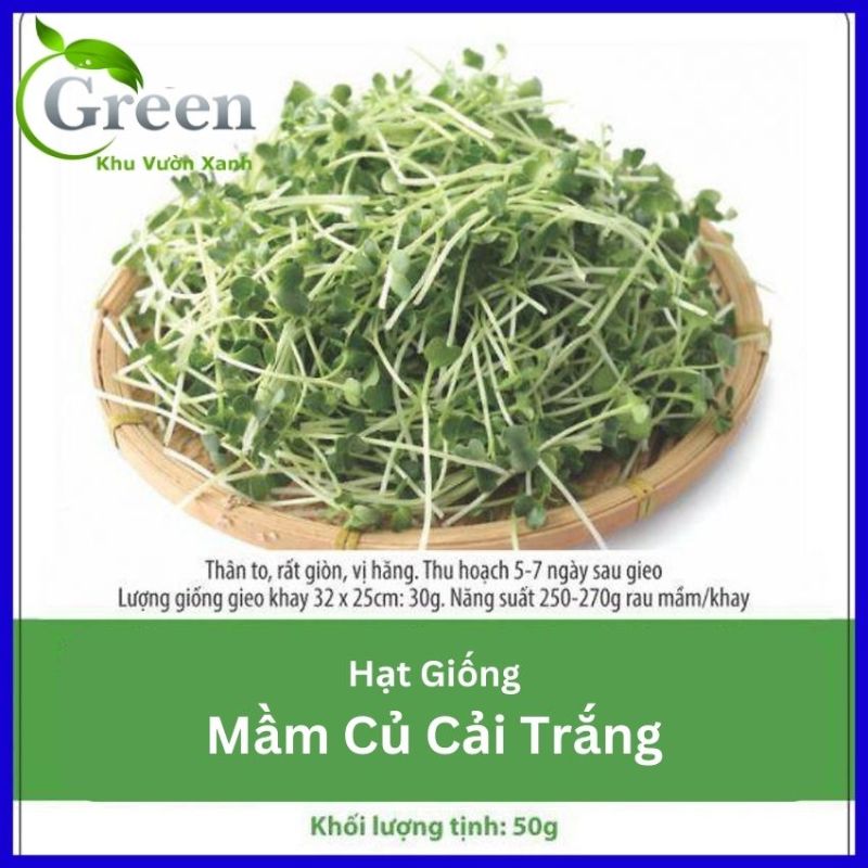 Hạt giống rau mầm củ cải trắng nảy mầm cao, tự trồng dễ dàng