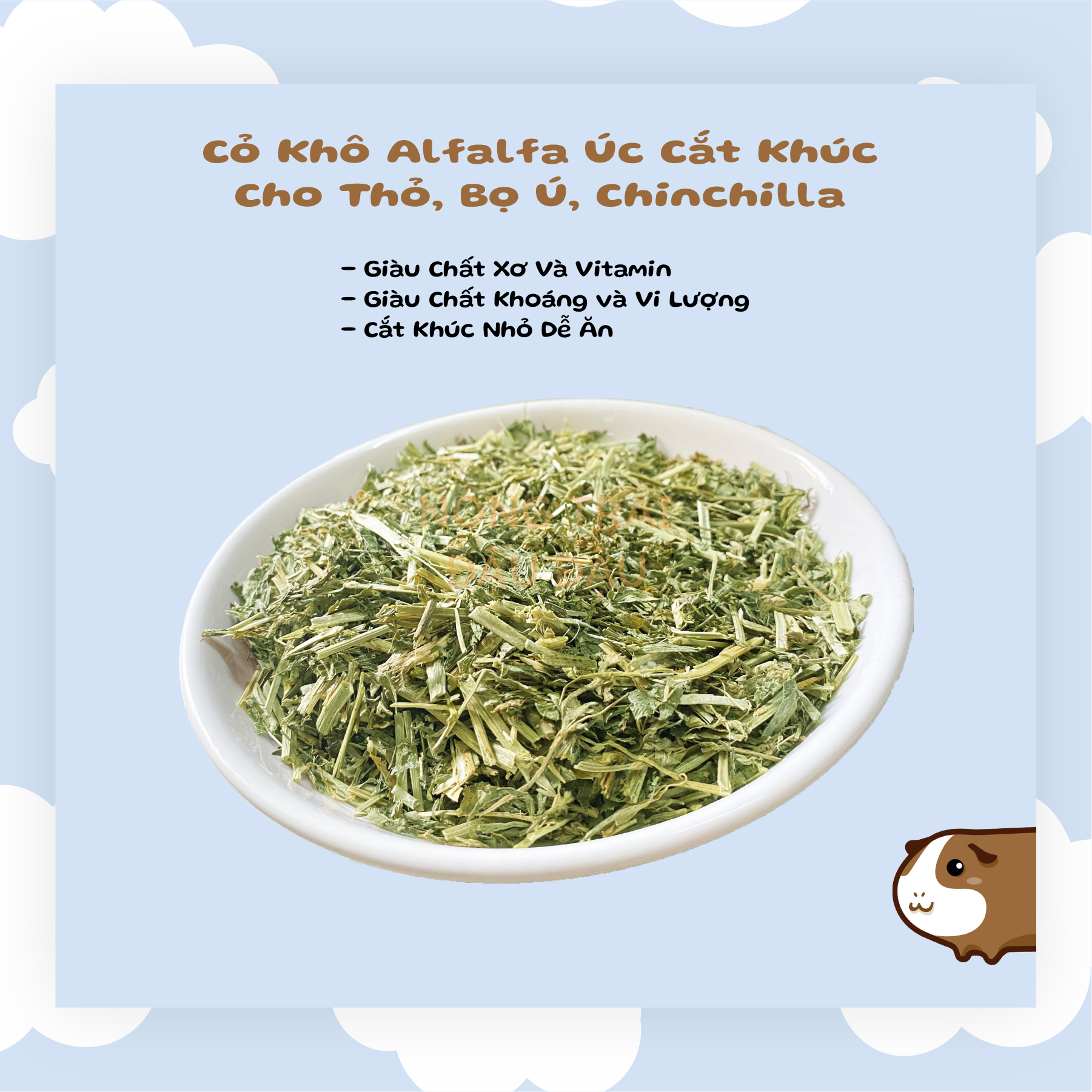Cỏ alfalfa úc cắt khúc giàu dinh dưỡng cho thỏ, bọ ú, chinchilla