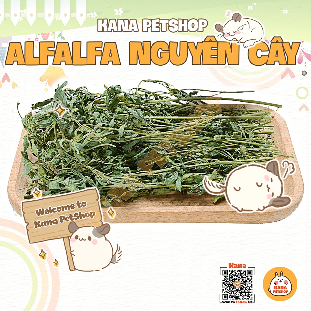 Cỏ Alfalfa 🐹FREESHIP🐹 800G Cỏ Alfalfa Nguyên Cây Thức Ăn Cho Thỏ, Bọ, Chinchillas ...