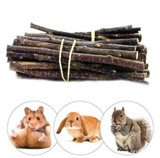 Cành gỗ táo mài răng cho hamster, sóc bông, sóc đất, sóc bay úc, sóc chuột